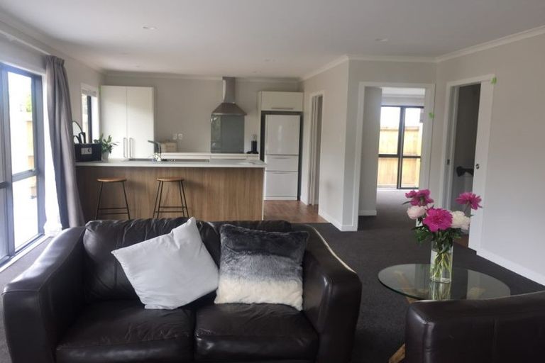 Photo of property in 6a Williams Place, Fairfield, Hamilton, 3214