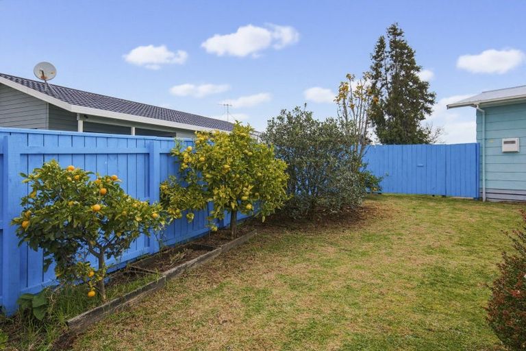 Photo of property in 23 Douglas Street, Levin, 5510