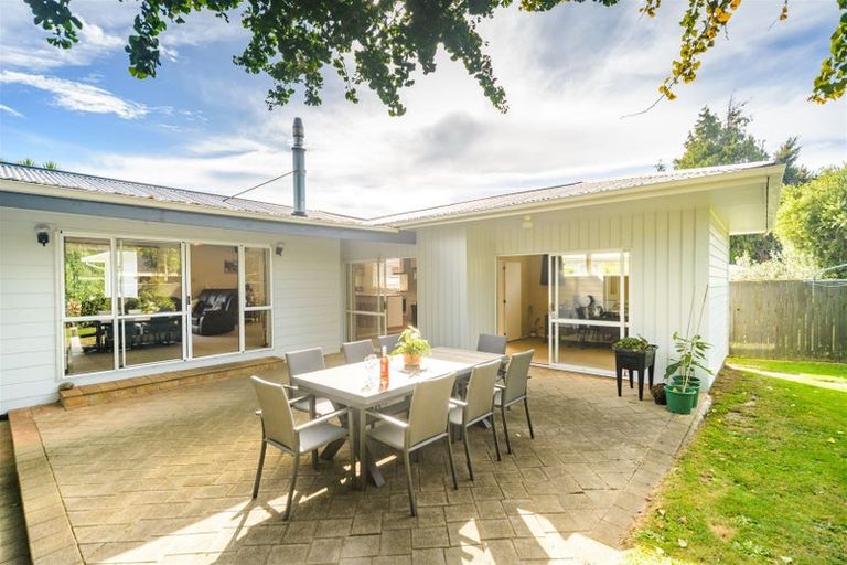 Photo of property in 30 Snowdon Avenue, Terrace End, Palmerston North, 4410