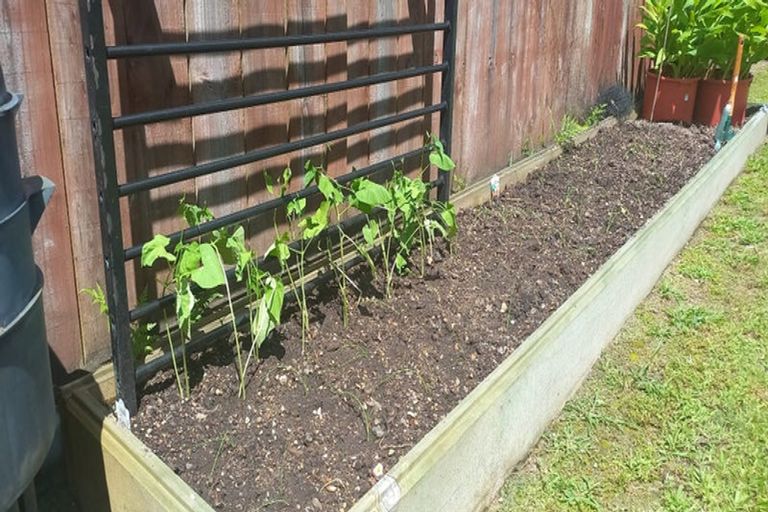 Photo of property in 2 Doug Wilson Crescent, Kawerau, 3127