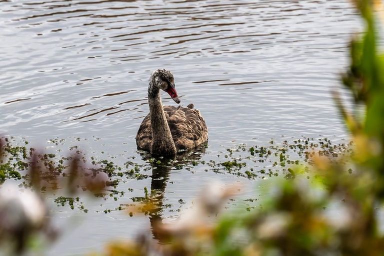 Photo of property in 159a Budge Street, Riversdale, Blenheim, 7201