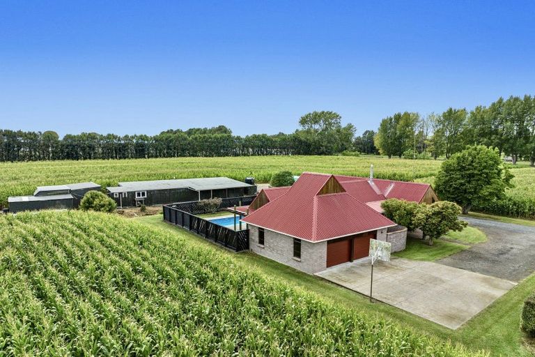 Photo of property in 164 Otakiri Road, Edgecumbe, Whakatane, 3192