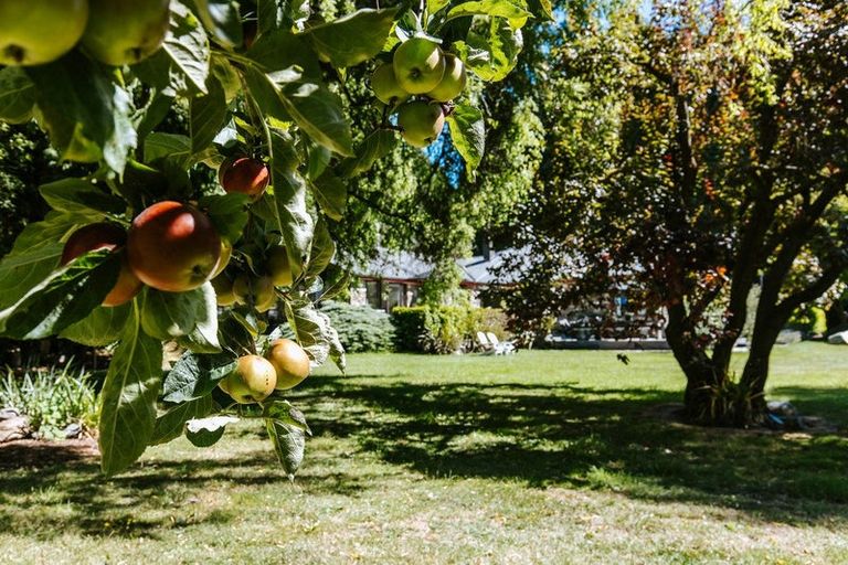 Photo of property in 2127b Cardrona Valley Road, Cardrona, Wanaka, 9382