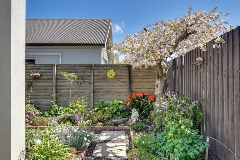 Photo of property in 6c Adams Lane, Springlands, Blenheim, 7201