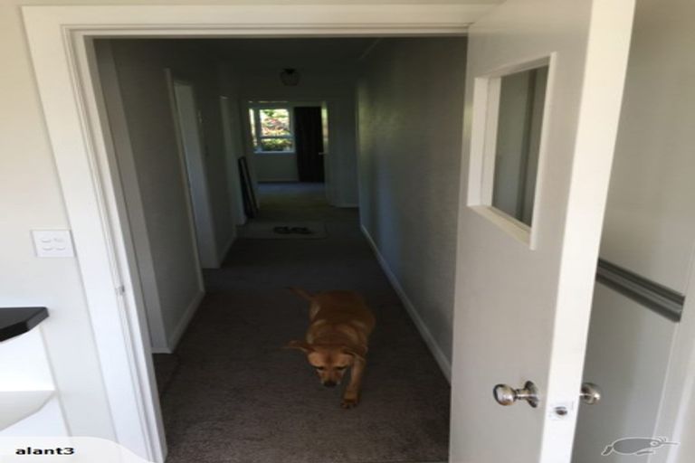 Photo of property in 15 Raynbird Street, Company Bay, Dunedin, 9014