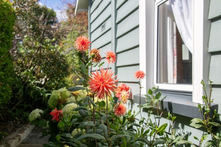 Photo of property in 52 Rayner Road, Huntly, 3700