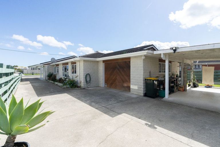 Photo of property in 154 Winchester Street, Levin, 5510