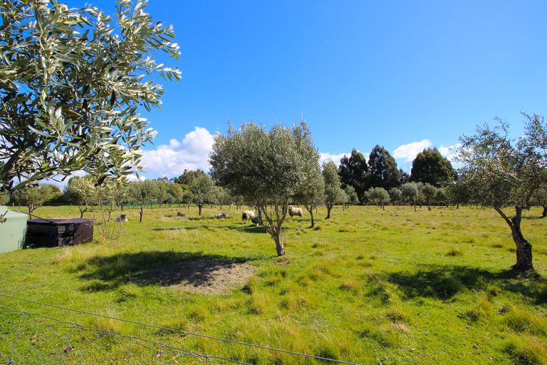 Photo of property in 82 Rarangi Road, Rarangi, Blenheim, 7273