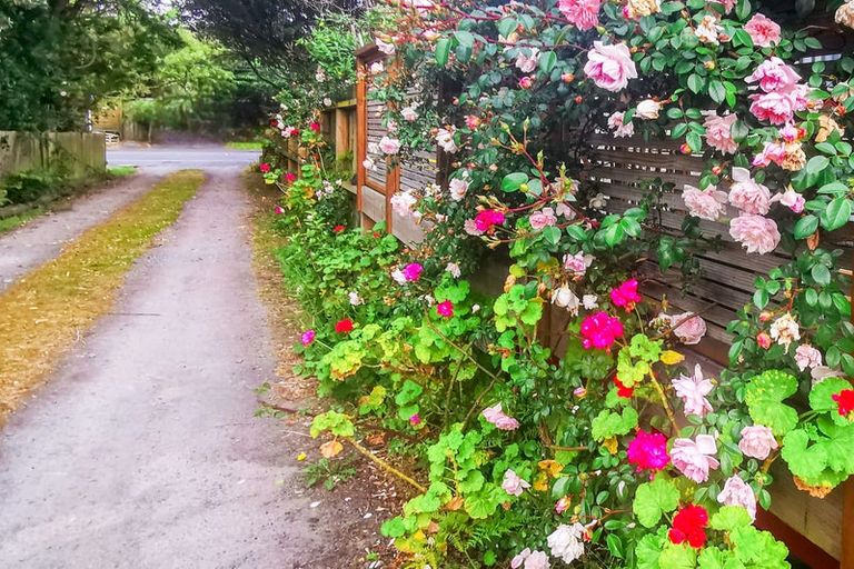 Photo of property in 42 Ruapehu Street, Paraparaumu, 5032