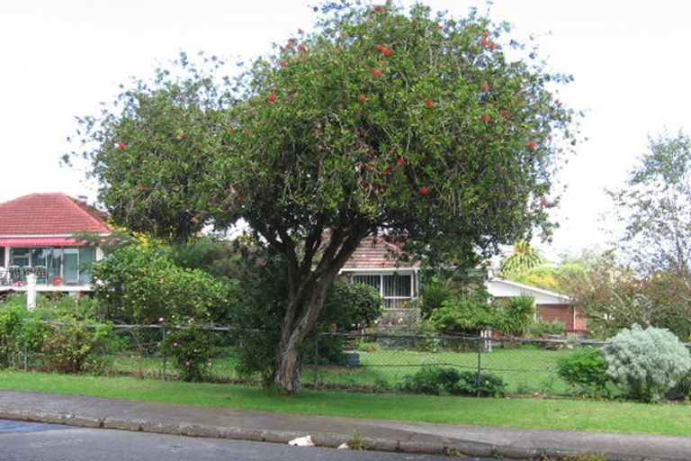Photo of property in 41 Tudor Road, Henderson, Auckland, 0610