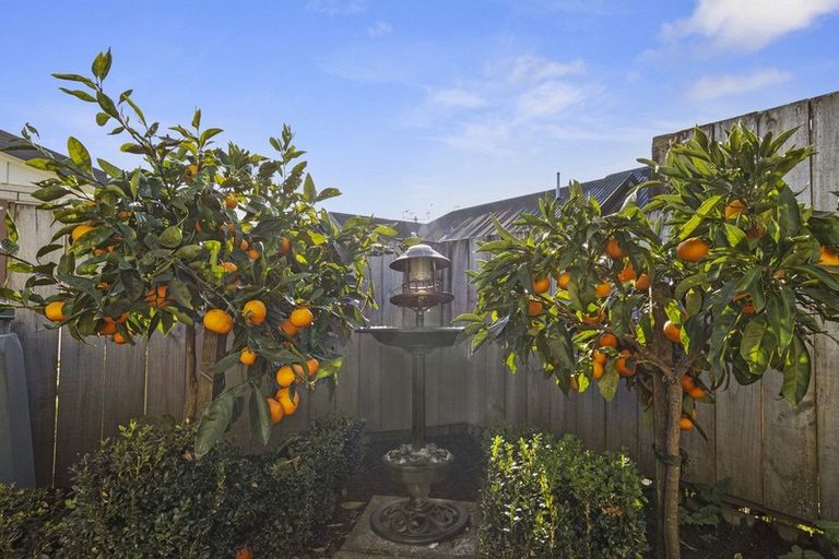 Photo of property in 91b Taylor Street, Cambridge, 3434