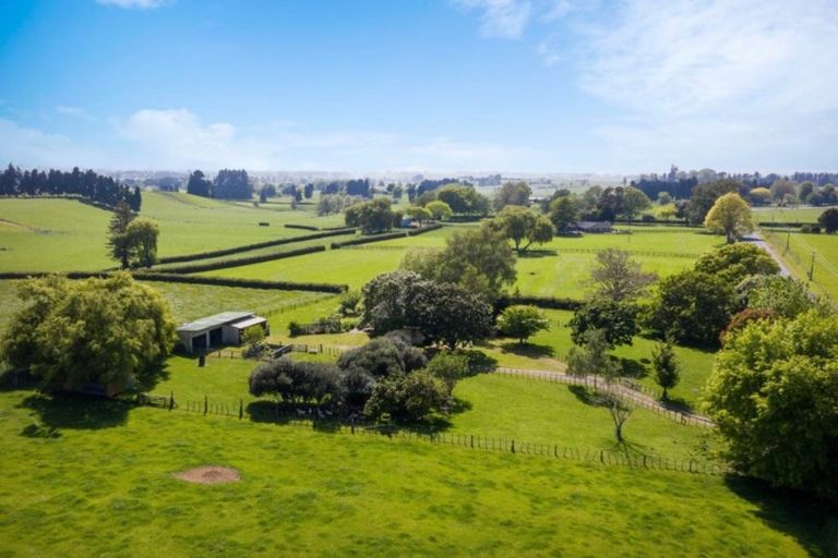 Photo of property in 1250 Paterangi Road, Ohaupo, 3883