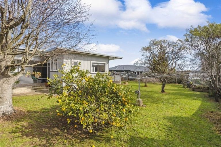 Photo of property in 24 Read Street, Levin, 5510