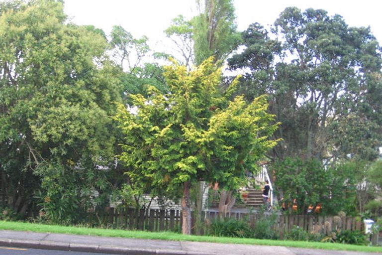 Photo of property in 80 Triangle Road, Massey, Auckland, 0614