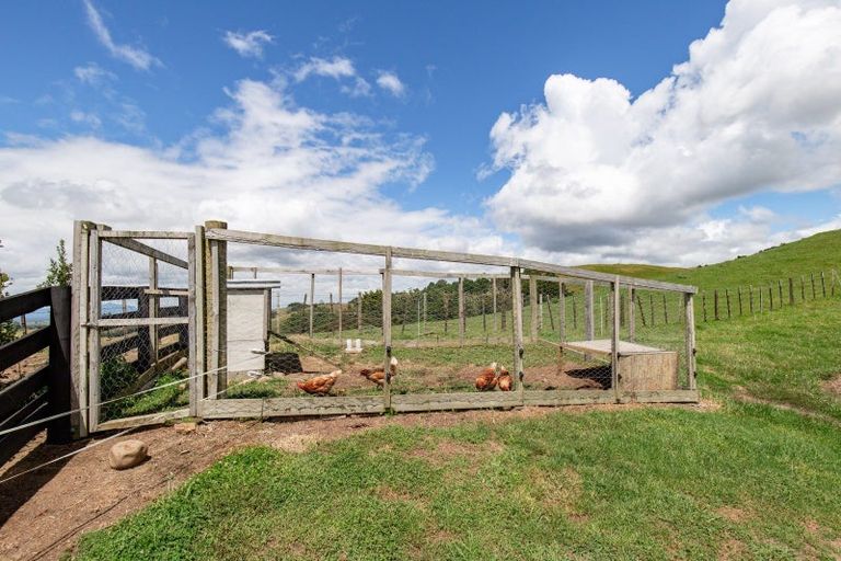 Photo of property in 169 Torehape Road, Kaihere, Ngatea, 3597