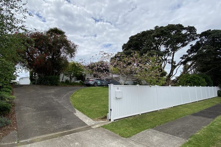 Photo of property in 12 Parkview Place, Pakuranga, Auckland, 2010