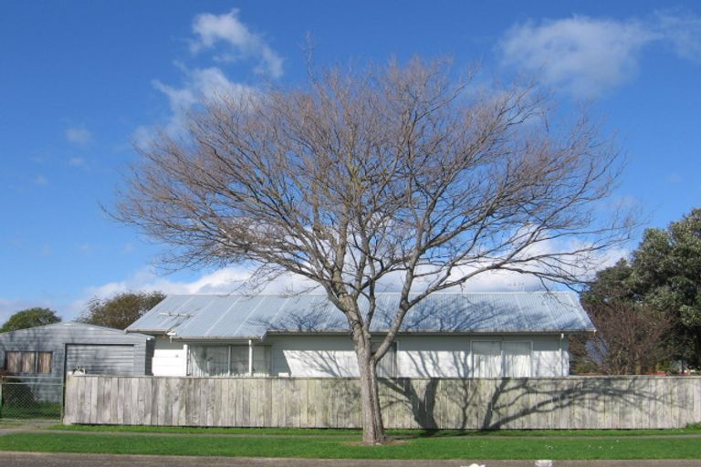 Photo of property in 21 Adkin Avenue, Levin, 5510