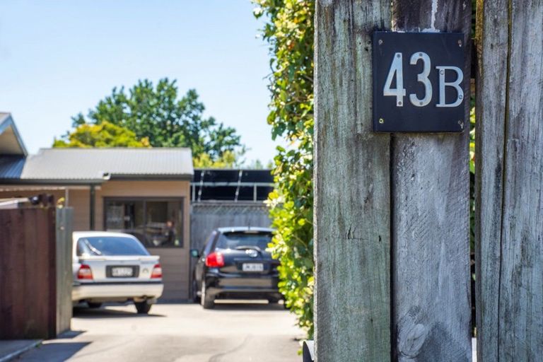 Photo of property in 43b Farm Street, Mount Maunganui, 3116