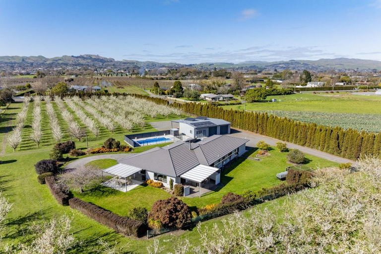 Photo of property in 1280 Howard Street, Parkvale, Hastings, 4122