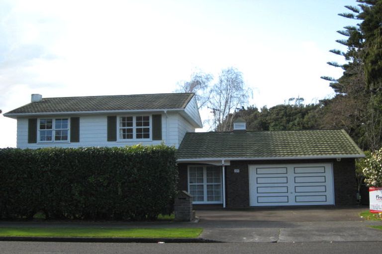 Photo of property in 49 Macarthur Street, Levin, 5510