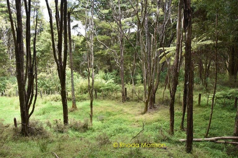 Photo of property in 318 Franklin Road, Paparoa, 0571