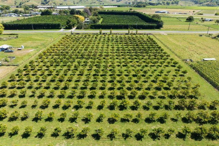 Photo of property in 17 Cemetery Road, Patutahi, Gisborne, 4072