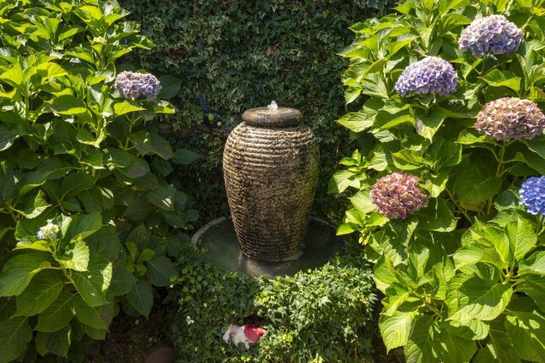 Photo of property in 40 Charlotte Drive, Omokoroa, 3114