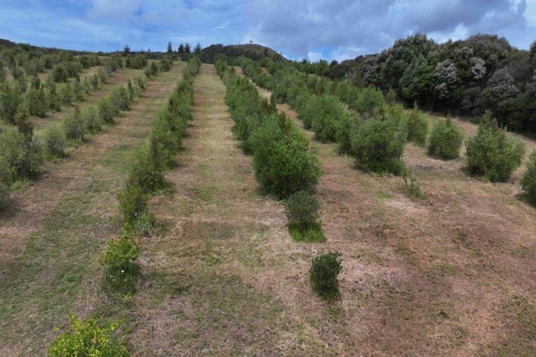 Photo of property in 105 Frantoio Ridge Road, Mangonui, 0494