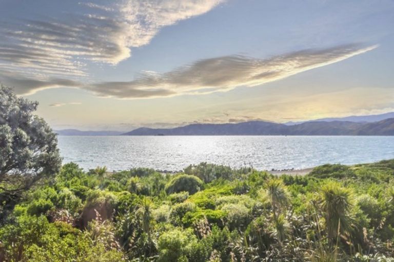 Photo of property in 17 Boardwalk Lane, Seatoun, Wellington, 6022