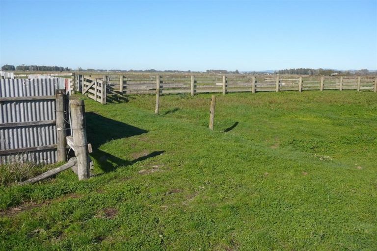 Photo of property in 560 Hauraki Road, Turua, 3574