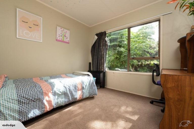 Photo of property in 169b Ohauiti Road, Hairini, Tauranga, 3112