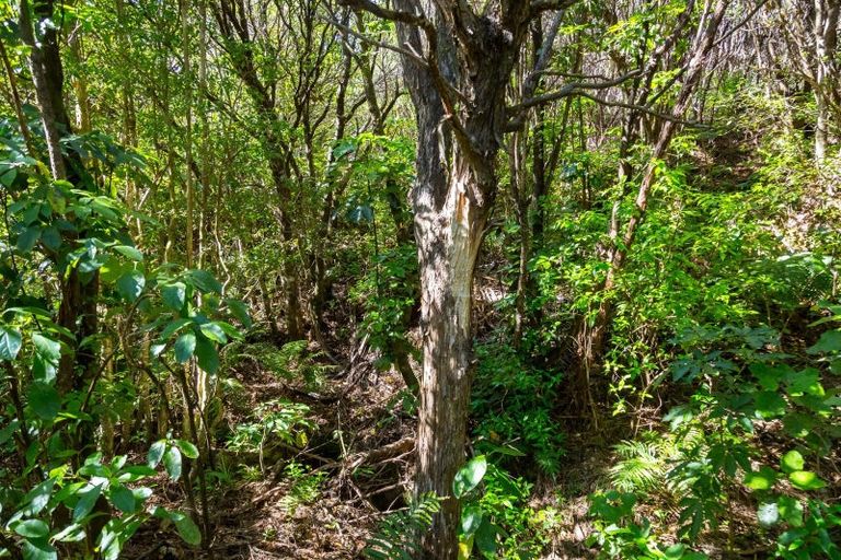 Photo of property in 294 Waiohine Gorge Road, Dalefield, Carterton, 5791