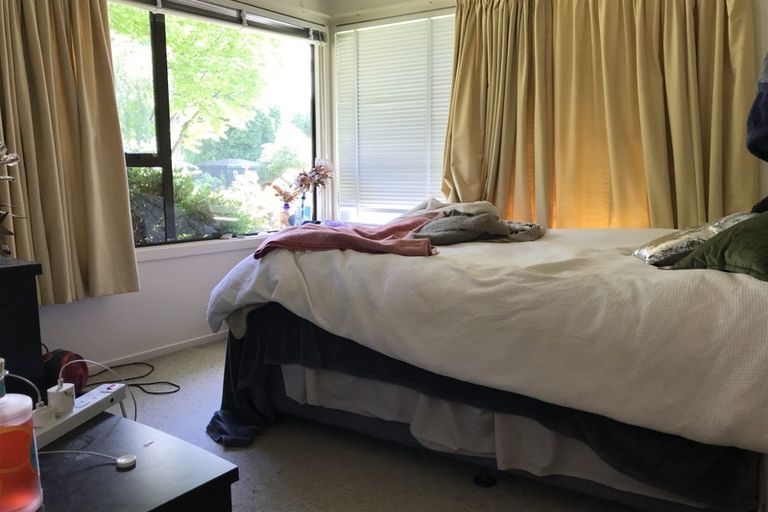 Photo of property in 151 Waimairi Road, Ilam, Christchurch, 8041