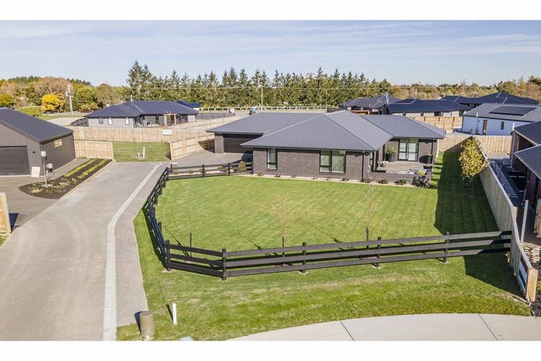 Photo of property in 26 Foster Place, Amberley, 7410