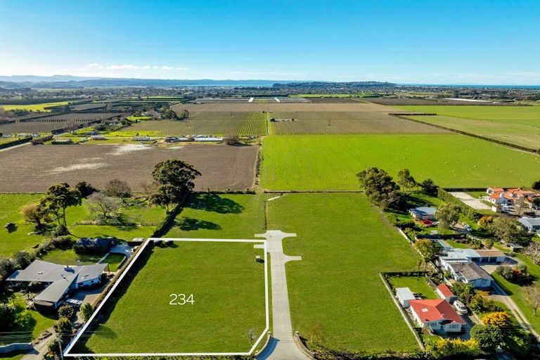 Photo of property in 234 Meeanee Road, Meeanee, Napier, 4112
