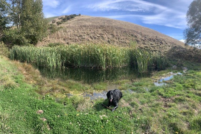 Photo of property in 64 Littles Drive, Waikari, 7420