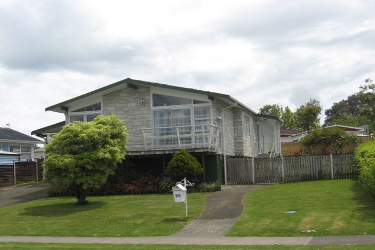 Photo of property in 55 Burbank Avenue, Manurewa, Auckland, 2102
