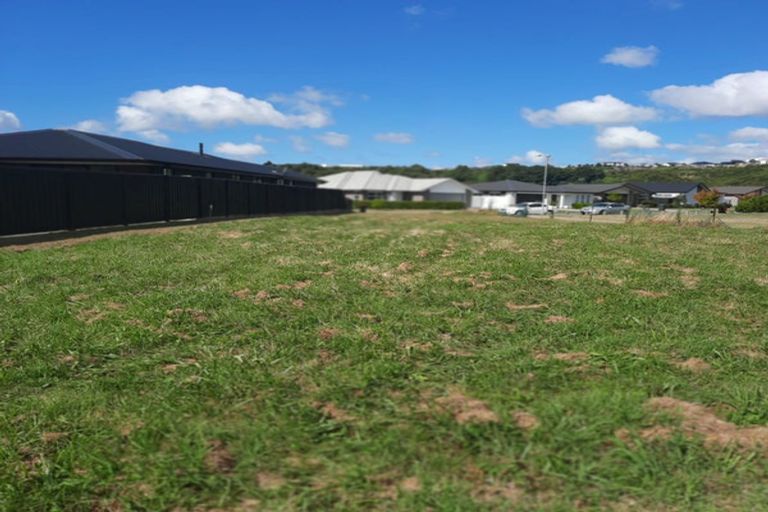 Photo of property in 85 Awataha Crescent, Pyes Pa, Tauranga, 3110