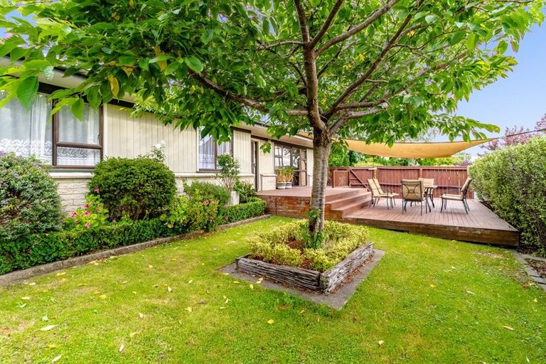 Photo of property in 77 York Avenue, Tamatea, Napier, 4112