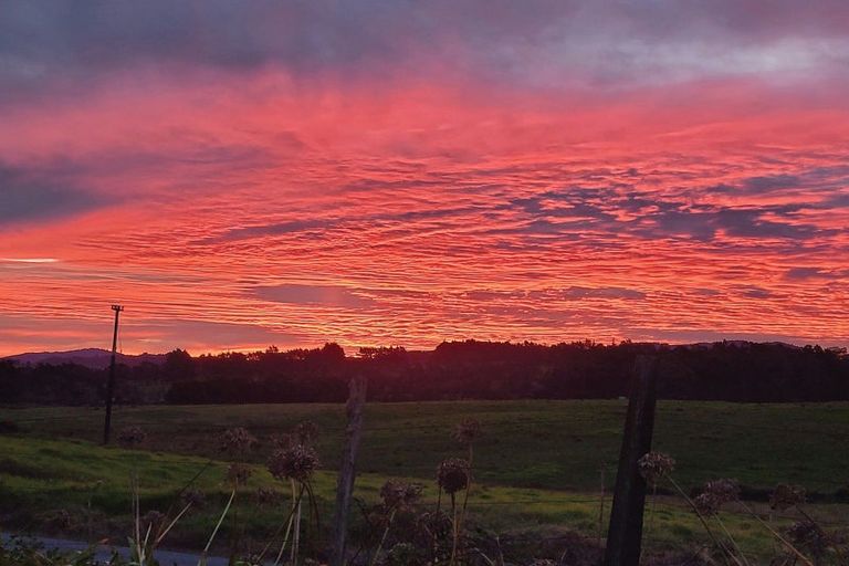 Photo of property in 224 Garbolino Road, Mangawhai, Kaiwaka, 0573