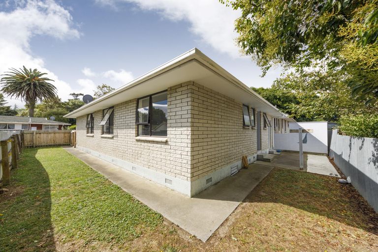 Photo of property in 155a Ruahine Street, Roslyn, Palmerston North, 4414