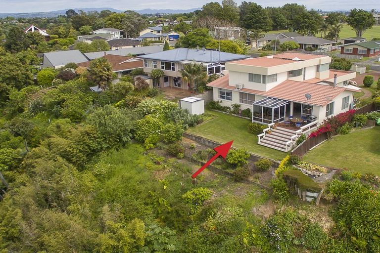 Photo of property in 17 Te Hono Street, Maungatapu, Tauranga, 3112