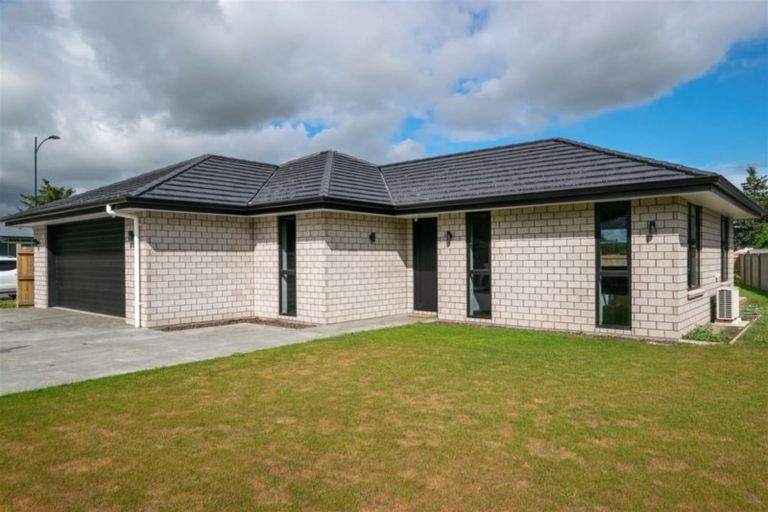 Photo of property in 46 Grigg Drive, Witherlea, Blenheim, 7201