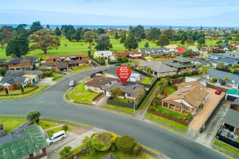 Photo of property in 65 Ascot Road, Mount Maunganui, 3116