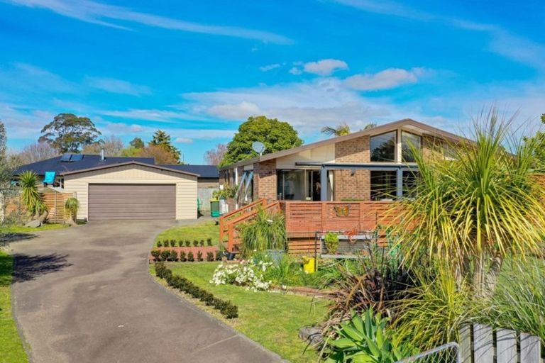 Photo of property in 7 Olive Grove, Edgecumbe, 3120