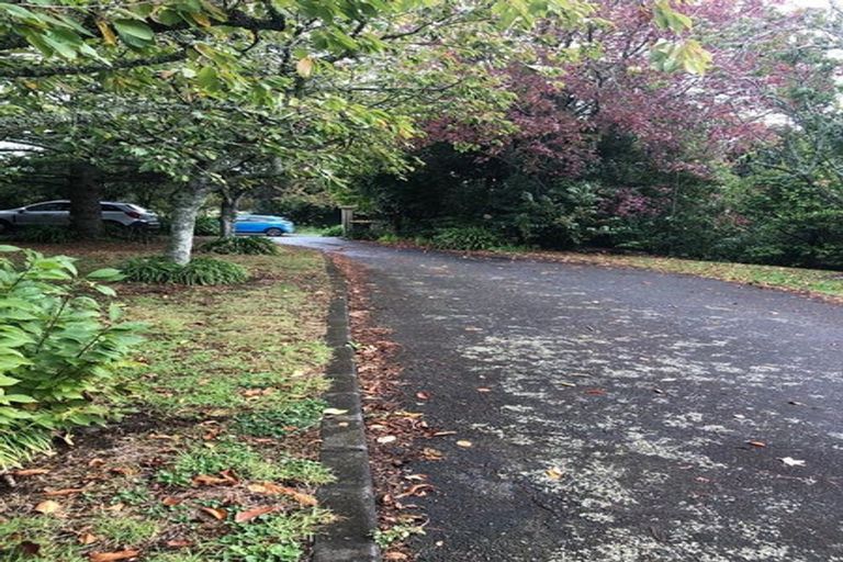 Photo of property in 41 Tuakau Road, Pukekohe, 2120