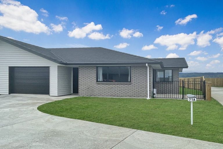 Photo of property in 71a Hinemoa Street, Levin, 5510