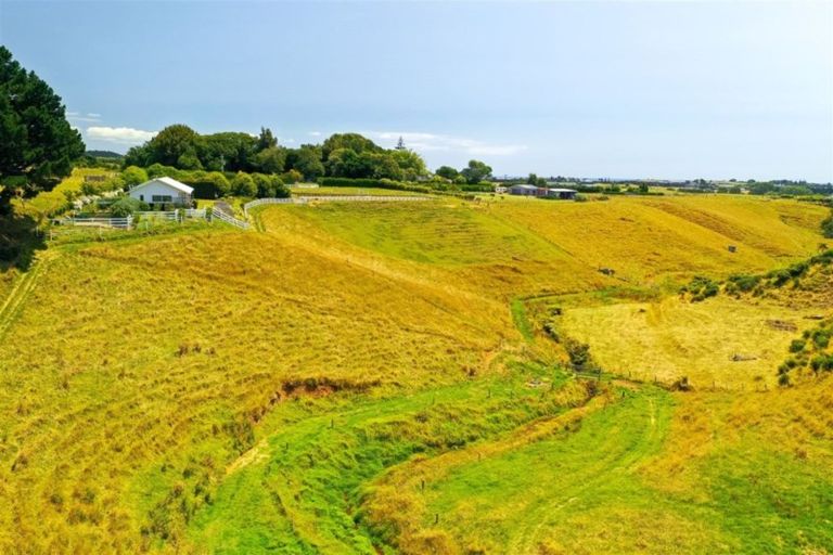 Photo of property in 167 Henwood Road, Paraite, New Plymouth, 4372