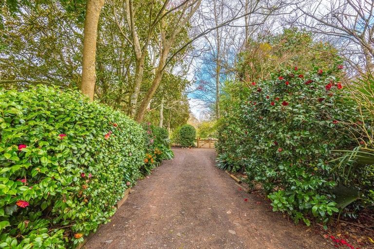 Photo of property in 462 Karaka Road, Karaka, Drury, 2578