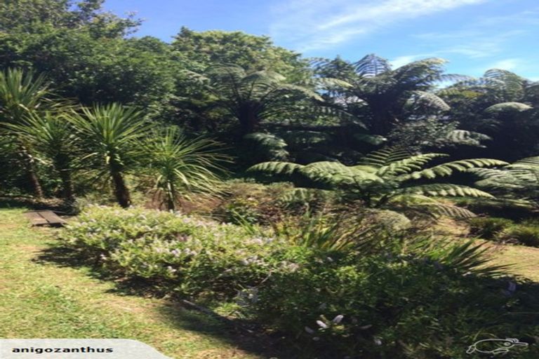 Photo of property in 211 Carrington Street, Vogeltown, New Plymouth, 4310